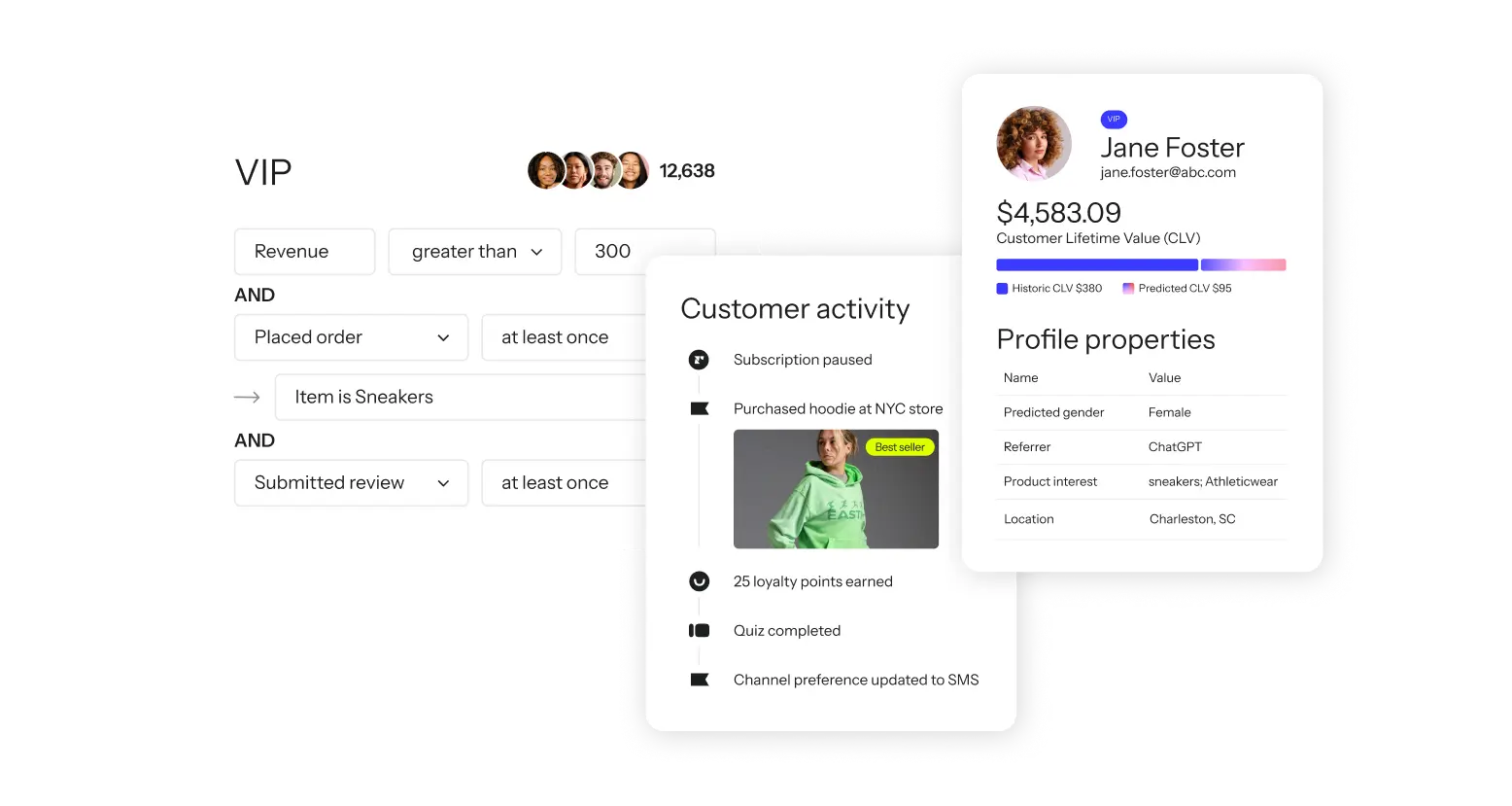 Klaviyo CDP showing customer segment builder and profile view