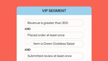 Text showing criteria for a "VIP Segment": Revenue over 300, placed order, item is Green Goddess Salad, submitted review.
