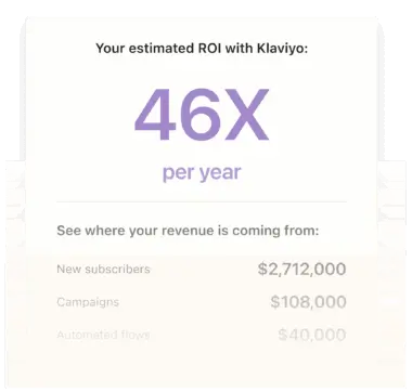 Estimated ROI with Klaviyo: 46X per year. Revenue sources: New subscribers $2,712,000, Campaigns $108,000, Automated flows $40,000.
