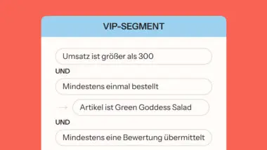 VIP-Segment-Kriterien: Umsatz über 300, mindestens einmal bestellt, Artikel ist Green Goddess Salad, mindestens eine Bewertung.