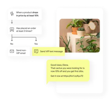 SMS avec cactus à prix réduit, envoyé aux clients VIP