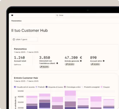 Pannello di controllo che mostra i dati del Customer Hub: 1.240 account totali, 3.850 interazioni con l'assistenza, 47.200 € di entrate e 890 account attivi. È presente anche un grafico a barre delle entrate.