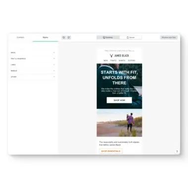 Klaviyo’s email template editor, showing various style options (text and headings, links, mobile, etc.) and a preview of the email template.