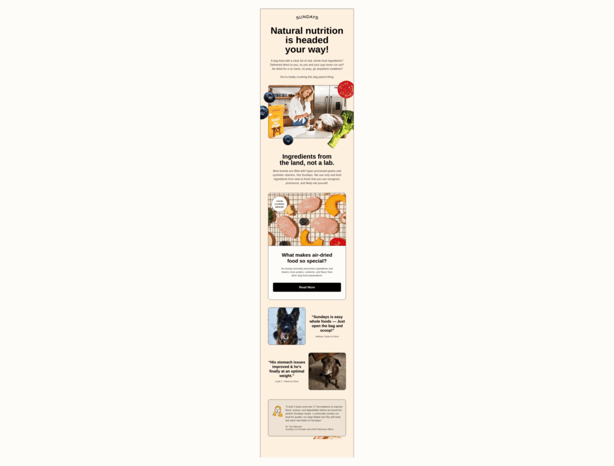 Promotional webpage for Sundays pet food, highlighting natural ingredients, air-dried food benefits, and customer reviews with dog images.