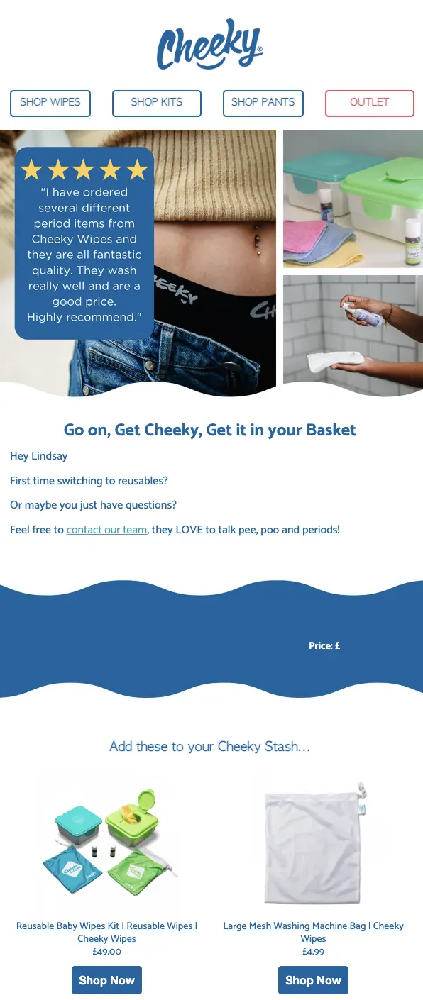 Image shows a browse abandonment email from Cheeky Wipes