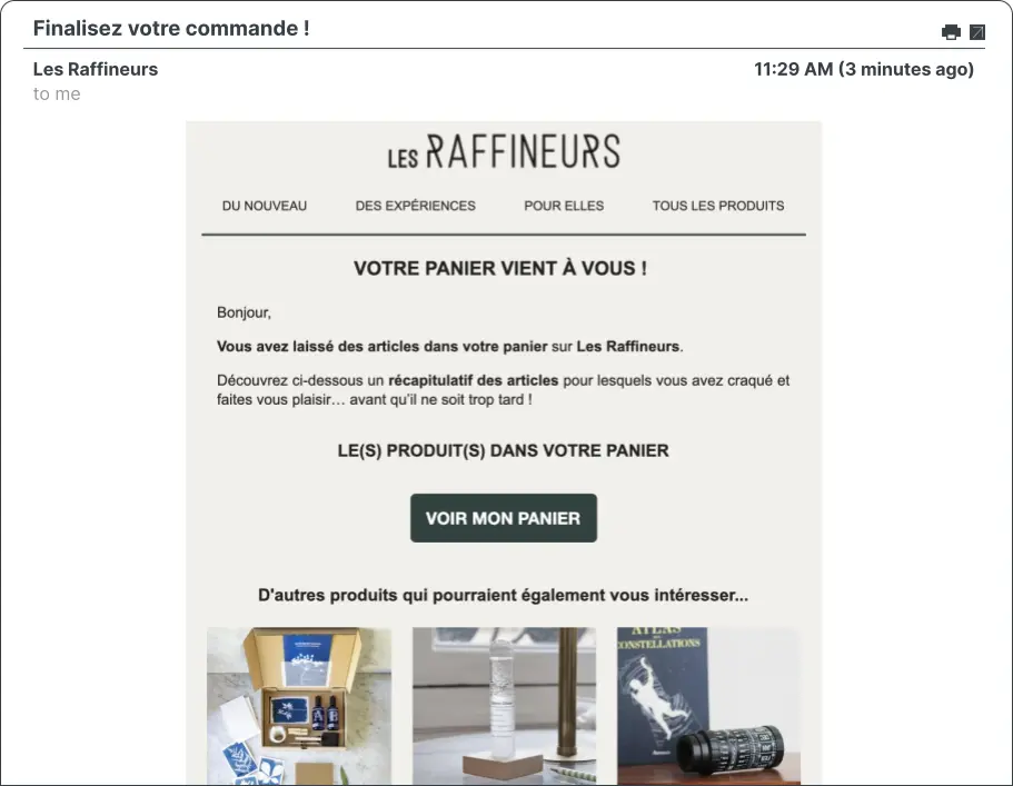 Screenshot of an email campaign from Les Raffineurs.