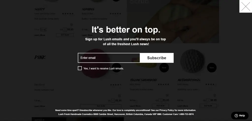 lush exit popup form that sits on their whole screen