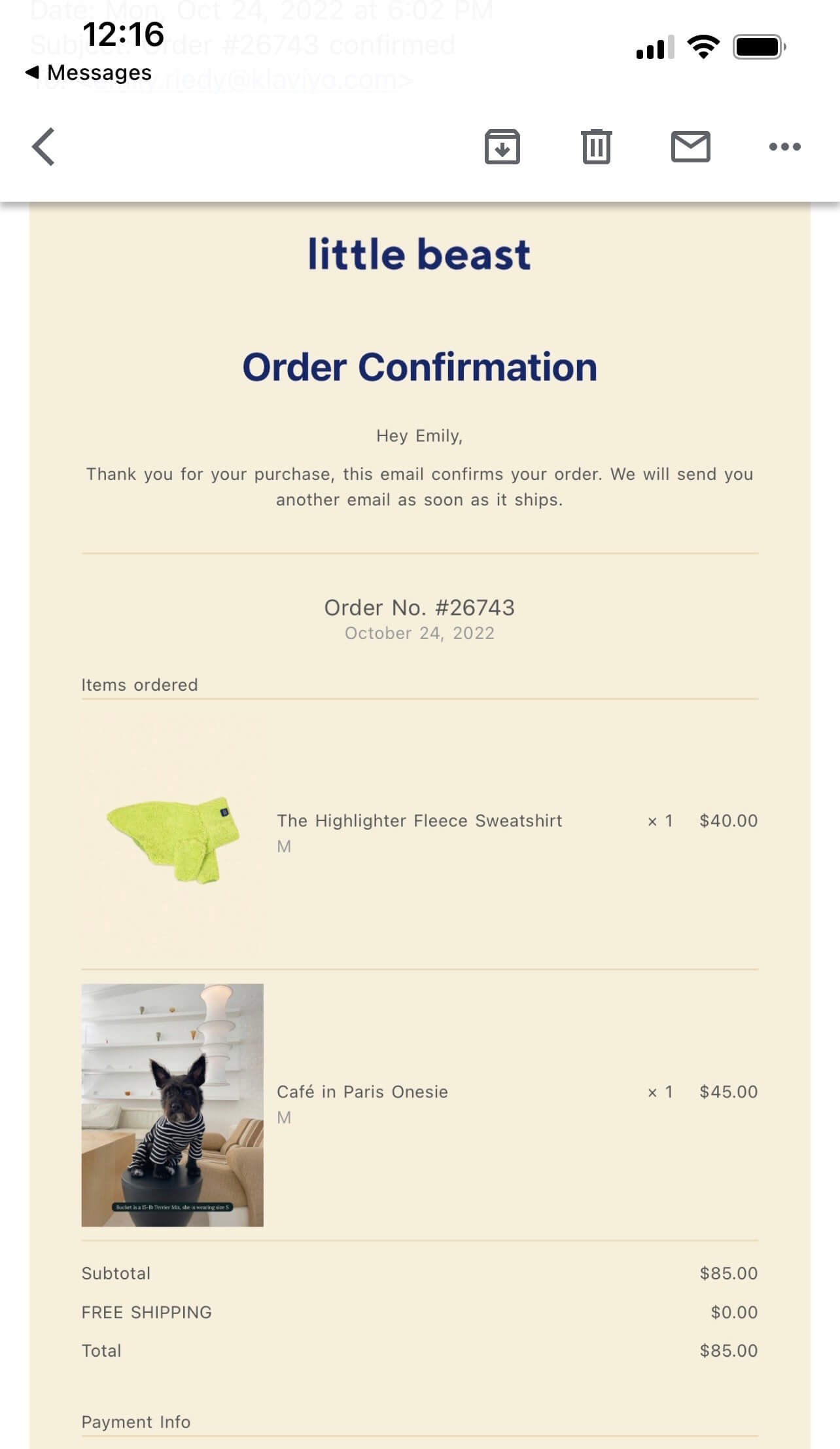 Image shows an order confirmation email from Little Beast, optimized for mobile.