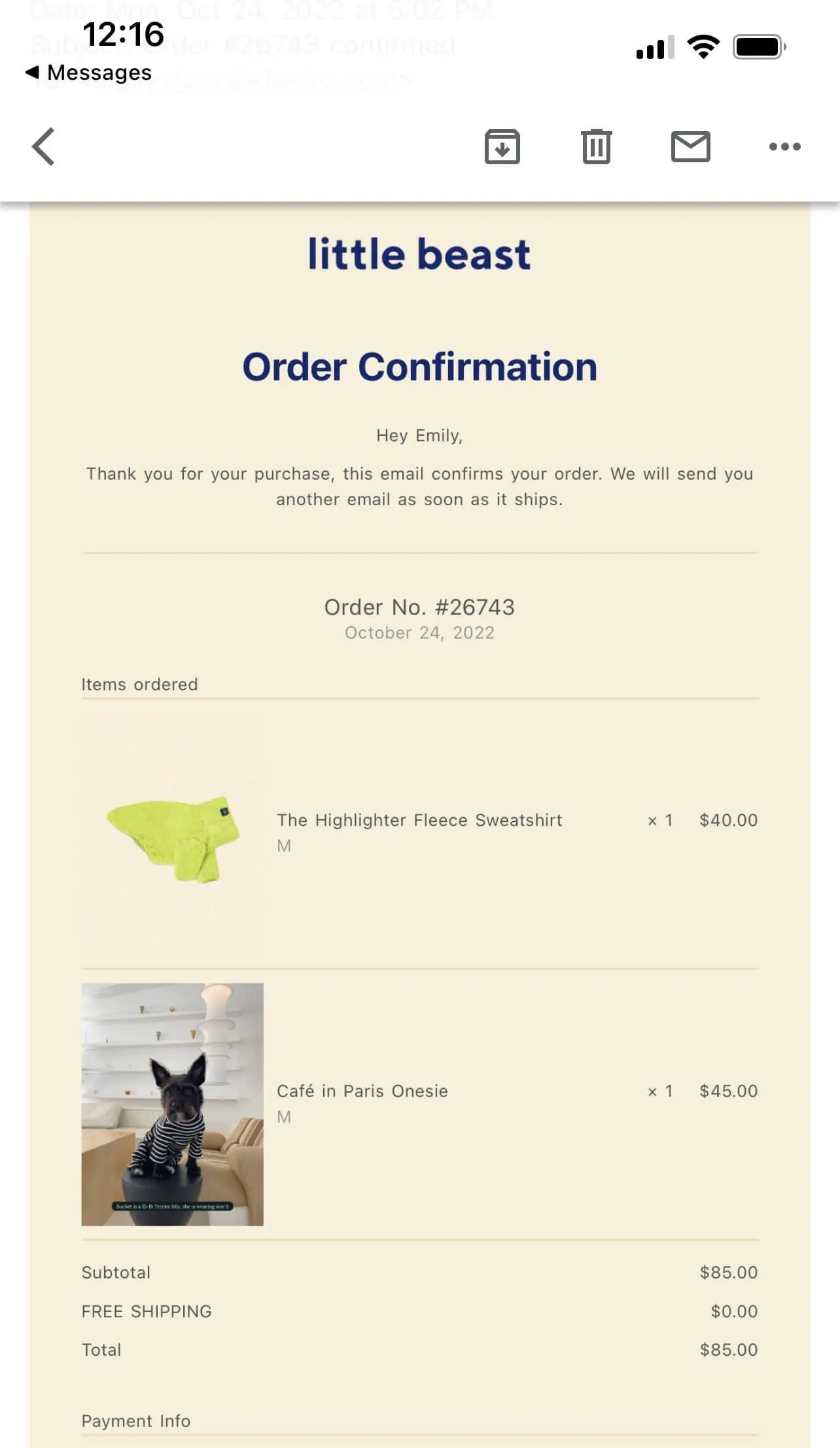 Image shows an order confirmation email from Little Beast, optimized for mobile.