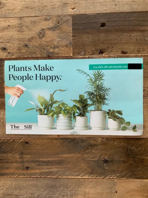 The Sill postcard: Plants Make People. Happy.

Image of 5 different plants.