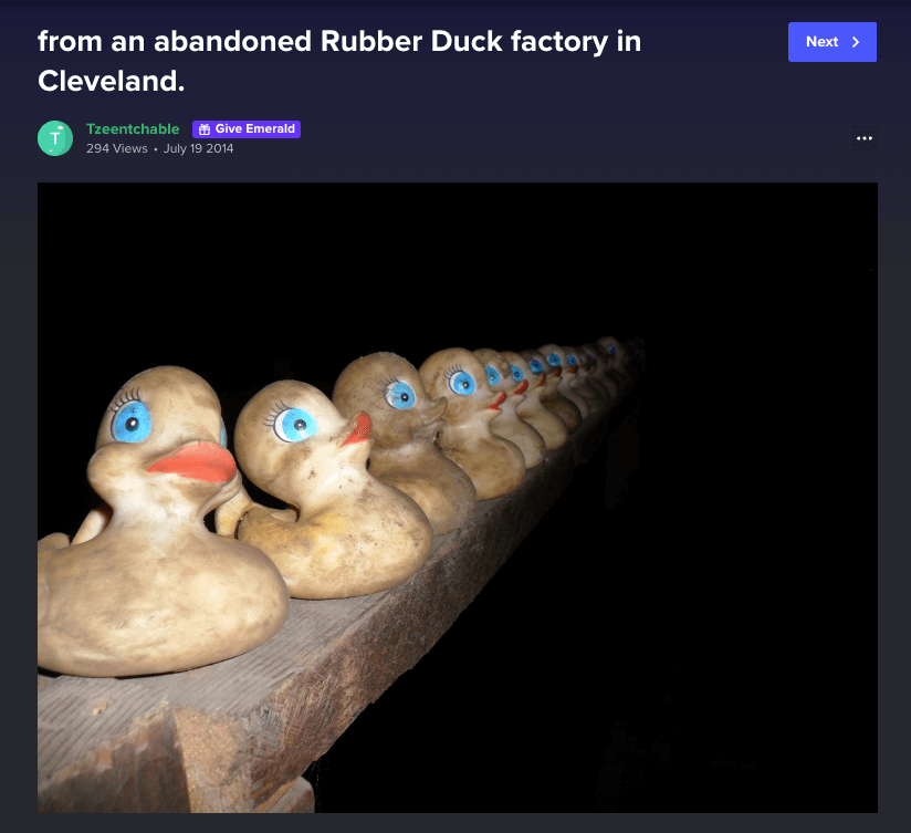 Image shows rubber ducks lined up at an abandoned rubber duck factory in Cleveland
