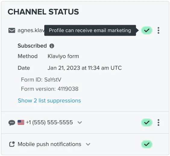 The channel status box shows you who can receive email marketing.