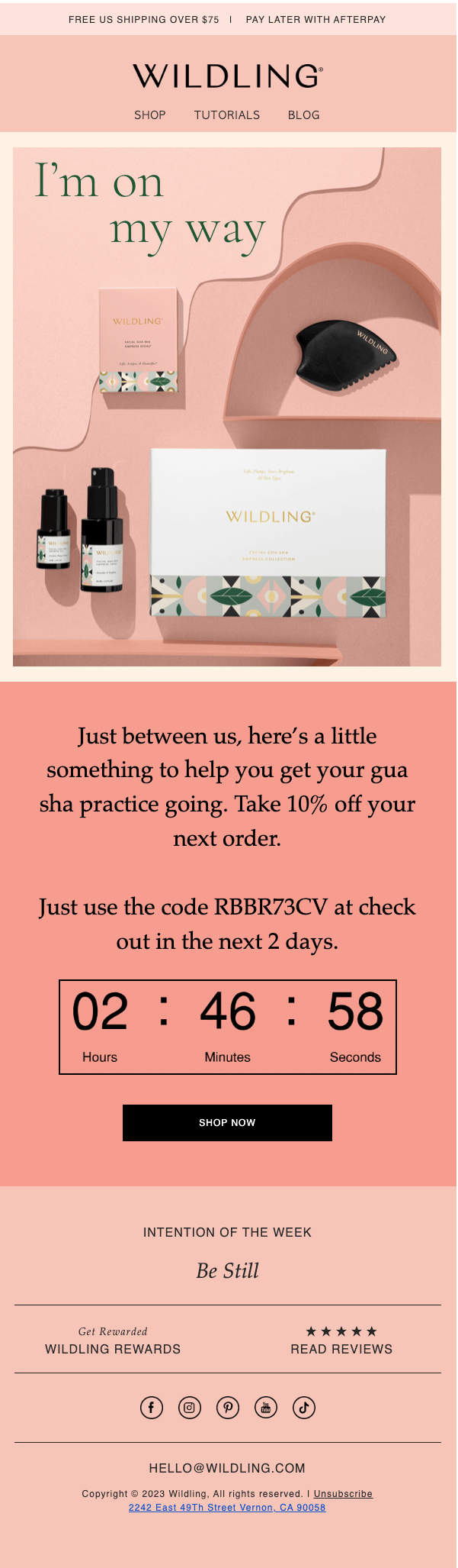 Image shows a promotional email from Wildling Beauty