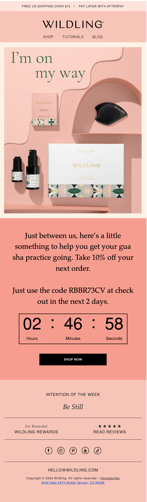 Wildling-email-open-rates-marketing-automation Image shows a promotional email from Wildling Beauty