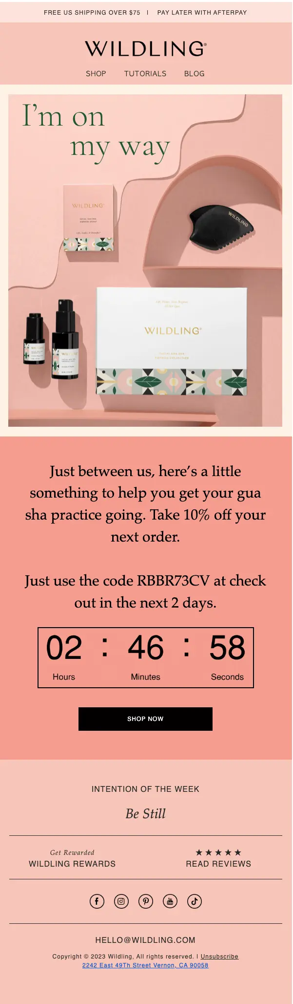 Image shows a promotional email from Wildling Beauty