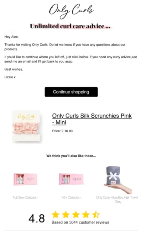Image shows an abandoned cart email from Only Curls