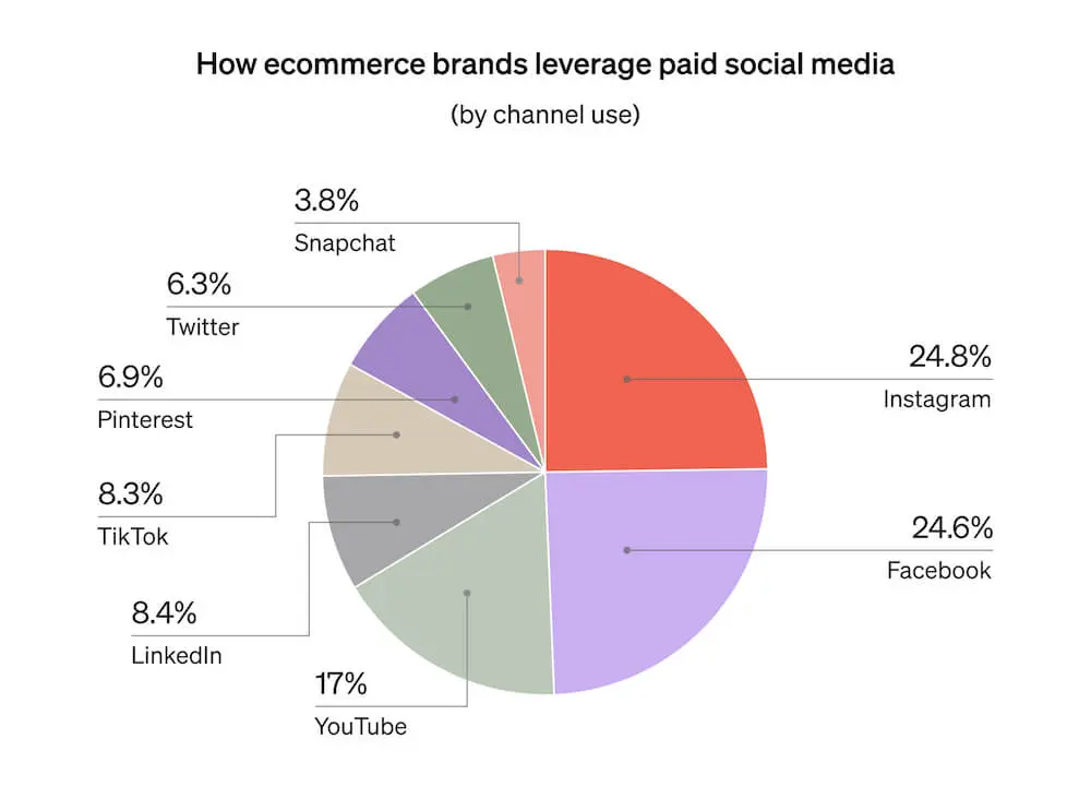 This pie graph shows which paid social platforms ecommerce businesses use the most, including Instagram, Facebook, YouTube, and LinkedIn.