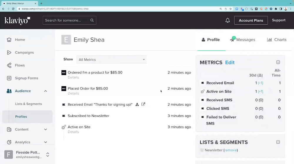 product-pages-wix-payments-accept-payments Image shows a customer profile within the Klaviyo dashboard.