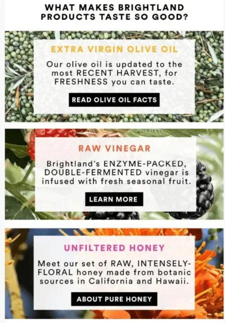 a welcome email example with different brightland products