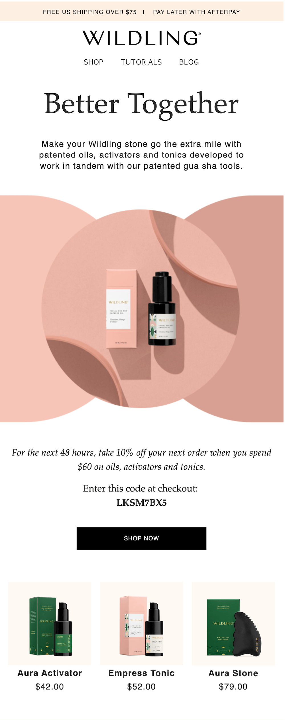Wildling-cross-sell Image shows a post-purchase email from Wildling that offers a discount on complementary products.