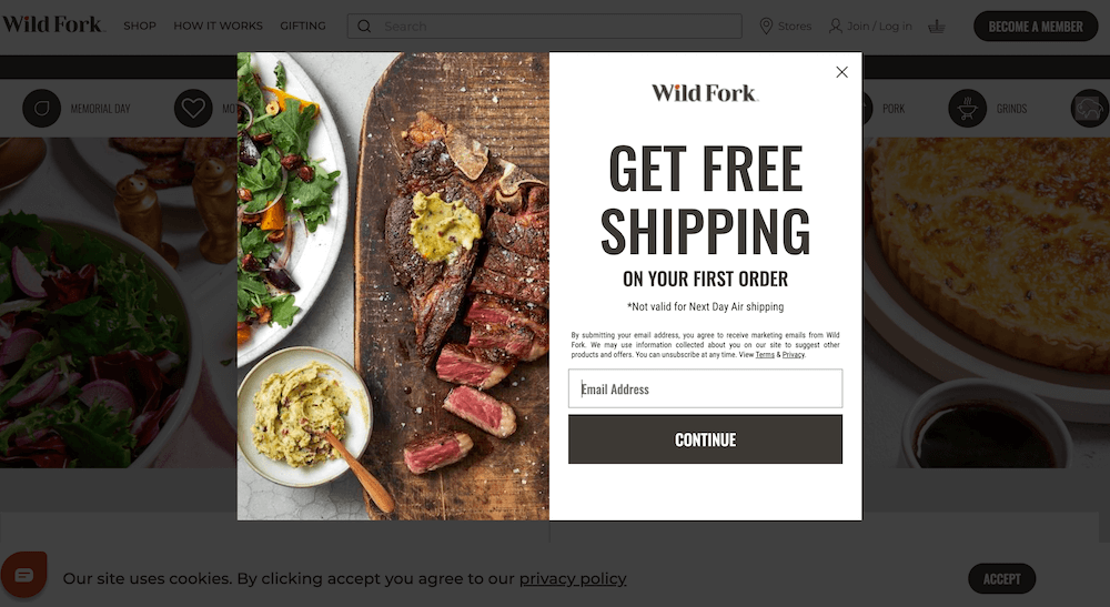 Image shows a pop-up form from Wild Fork Foods, which offers free shipping and includes fine print that sets subscriber expectations. “We may use information collected about you on our site to suggest other products and offers,” the form reads. “You can unsubscribe at any time.”