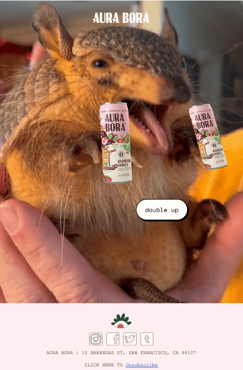 Aura-Bora-fonts-email-newsletter-examples Image shows an email newsletter from Aura Bora showing a human hand holding a baby armadillo, with images of the brand’s new herbal water in both of the baby armadillo’s paws, with a CTA button that reads “double up.”