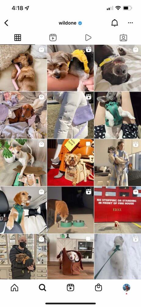 Image shows Wild One’s Instagram feed, which uses a blend of professional and user-generated content.