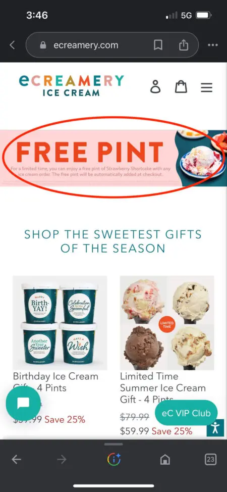Image shows ecreamery’s homescreen on web, including a banner ad that offers a free pint with any ice cream order.