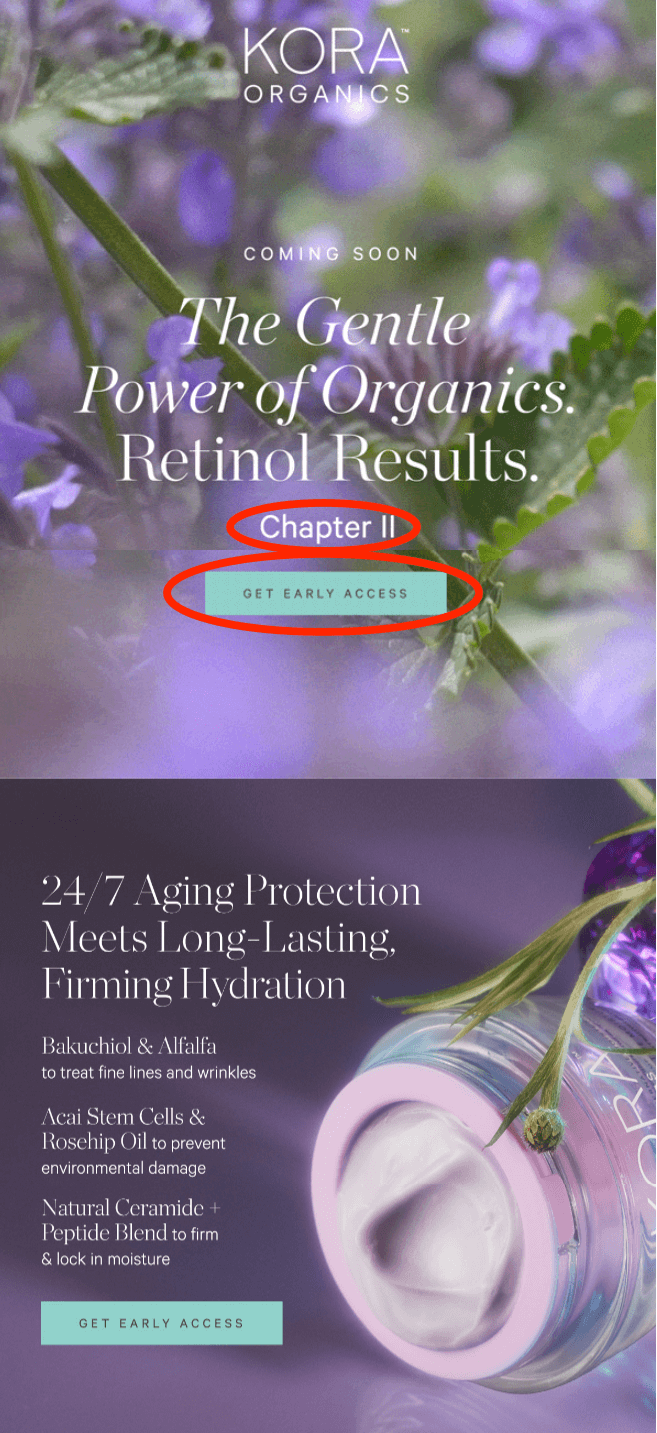 How to use email tags to increase email efficiency Klaviyo