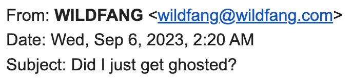 Image shows a screenshot of an email subject line from apparel brand Wildfang, which reads, “Did I just get ghosted?”