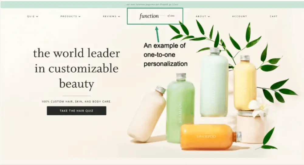 Image shows a screenshot of the Function of Beauty website homepage, which features several bottles of beauty products in different colors against a cream background. The website banner reads “the world leader in customizable beauty,” with a CTA button that encourages visitors to “take the hair quiz.” Importantly, the main logo at the top center of the page is personalized to the website visitor. Insead of “function of beauty,” it reads, “function of alex.”