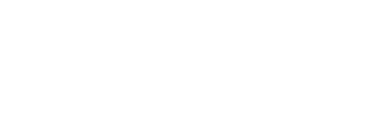 Quad Lock logo